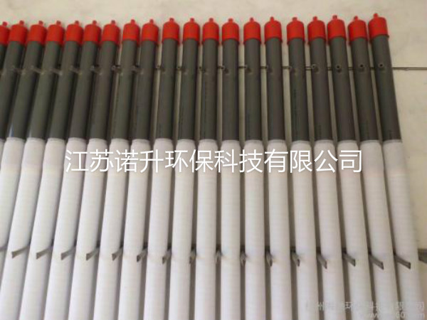 1601965140978161.jpg 2.jpg